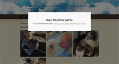 Desktop Screenshot of paragonpomeranians.com